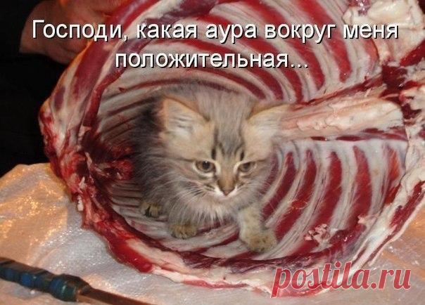 такой милый!!! согласны?