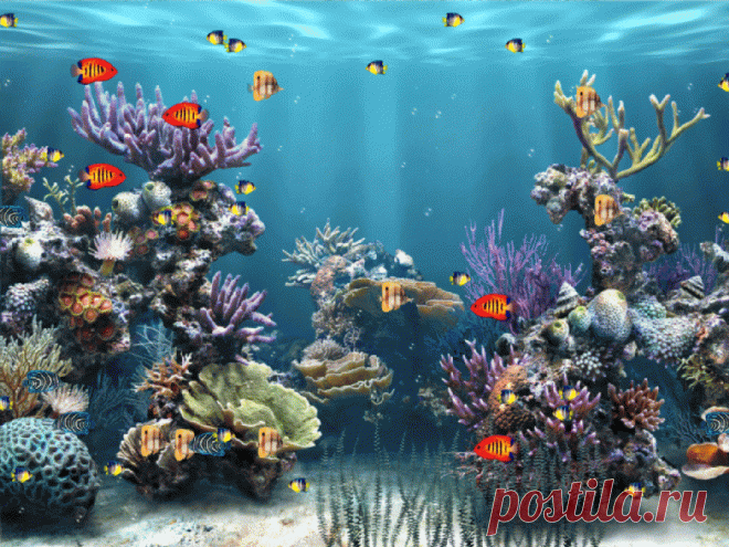 Открытка (плейкаст) «Японская музыка - энигма - релаксирующая мелодия» Автор плейкаста: Svetlana_Nikulina. Тема: Музыка. Когда: 13.11.2017.