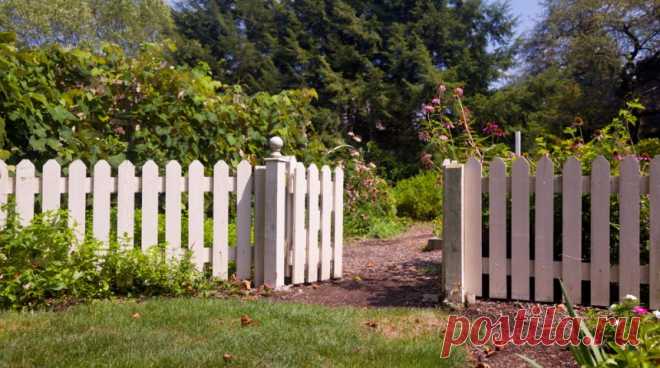 16 необычных идей по оформлению входа на участок 

Мы подскажем несколько любопытных идей, которые помогут превратить вход на участок в самостоятельный элемент садового дизайна. Ведь калитка – это лицо любого дома. И пусть она будет неповторимой!
Пр…