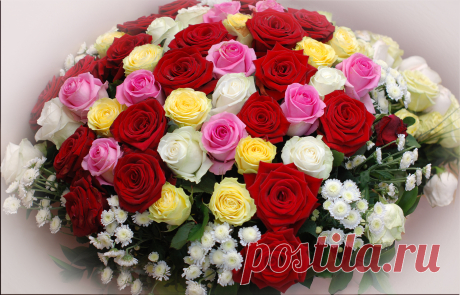 0_54356_2adbf5bf_orig (2500×1605)