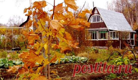 8 непростительных ошибок, которые вы совершаете каждую осень