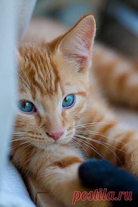176 | Flickr - Photo Sharing!