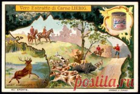Liebig Tradecard S749 - Sporting Silhouettes, Hunting Liebig's Beef Extract "Sporting Silhouettes" Italian issue, 1903