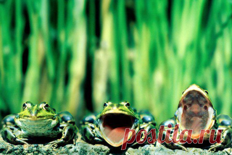 ГЛАВНОЕ  ДЕЛАЙ !!!!!!!!!!!!