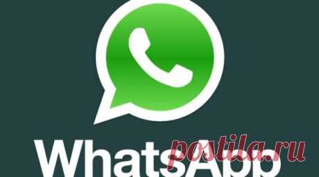 В WhatsApp добавили ЭТУ новую функцию! Ведь мы её так долго ждали! — В Курсе Жизни