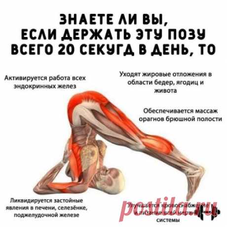 Одна поза, а сколько пользы для здоровья!