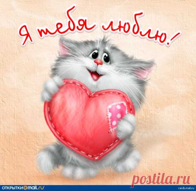 Я Тебя Люблю