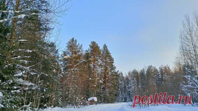 Природа Юрьянского района