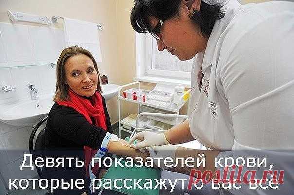 (24) Одноклассники 9 показателей крови