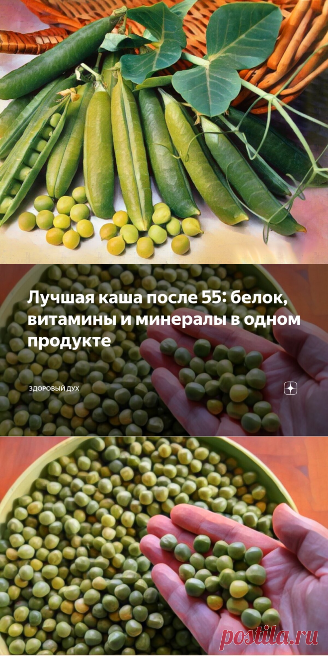 Лучшая каша после 55: белок, витамины и минералы в одном продукте | Здоровый Дух | Дзен