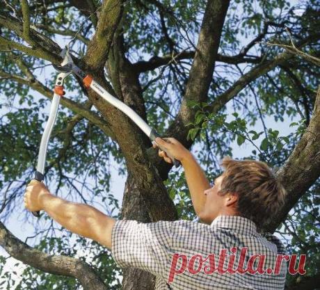 Gardena представляет новую линейку секаторов и сучкорезов