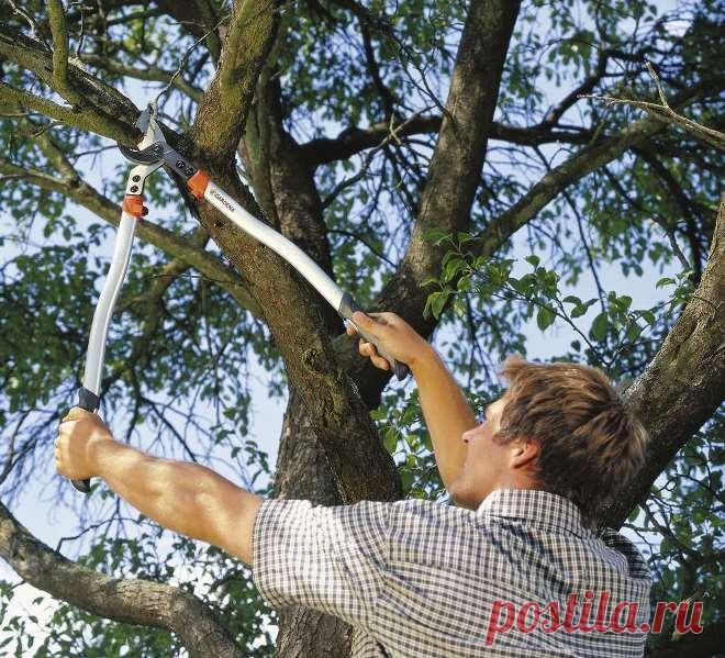 Gardena представляет новую линейку секаторов и сучкорезов