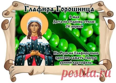 В этот день желают, чтобы посеянный горох принялся, а к столу обязательно подавали гороховый суп или кашу, что сулит достаток.  Открытки на Глафира Горошница!