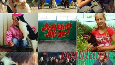 Петиция | CОХРАНИТЕ ПРИЮТ &quot;ЛУЧШИЙ ДРУГ&quot; ТЮМЕНЬ | Change.org