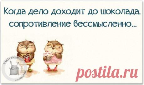 Фразочки в картинках