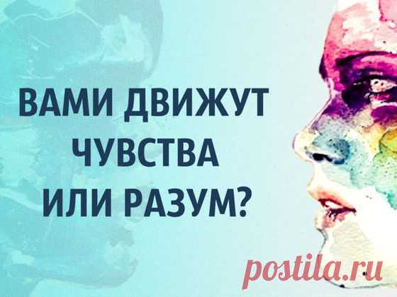Алматы облысы бойынша – По Алматинской области .