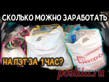 Сколько можно заработать за 1 час на сборе бутылок ПЭТ? Мусор в деньги