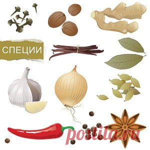 Специи и пряные травы
