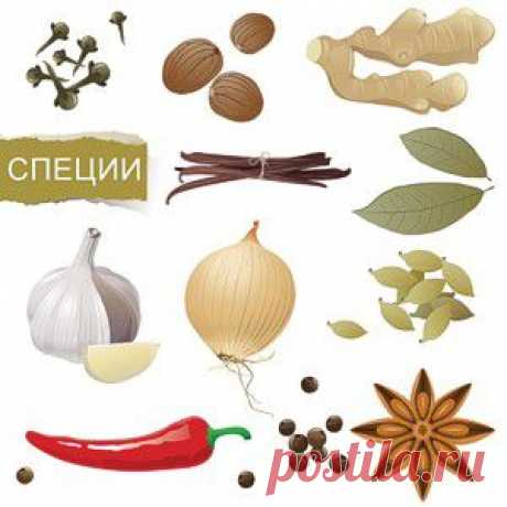 Специи и пряные травы