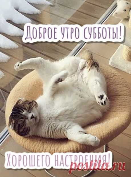 Картинки доброе субботнее утро: красивые открытки с пожеланиями
