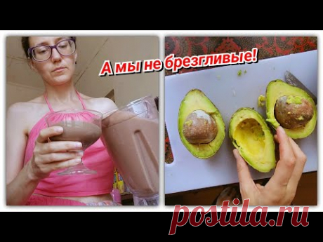 #126 Авокадо с мусорки, Мангусты и Живительный Смузи!