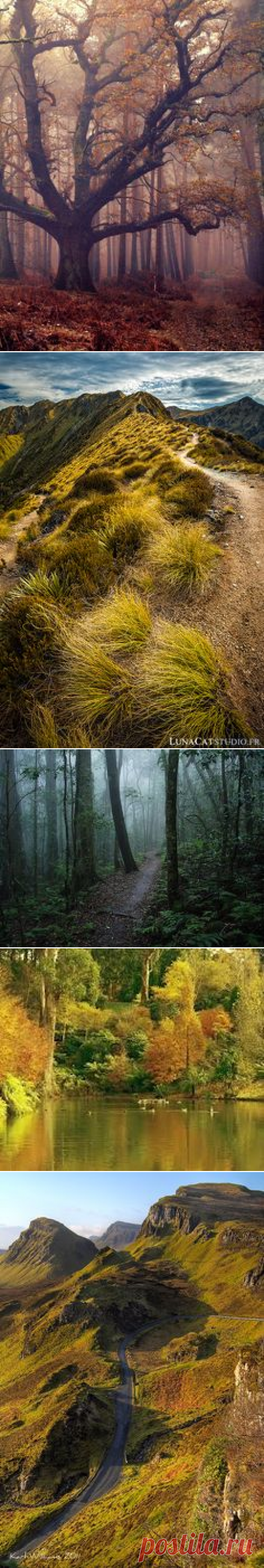 landscapes I Love в Pinterest