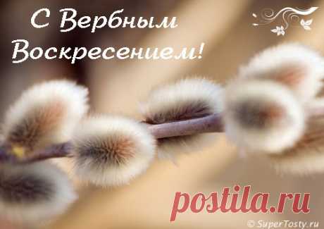 Открытка с вербным воскресеньем, №143. Раздел «Открытки с вербным воскресеньем»