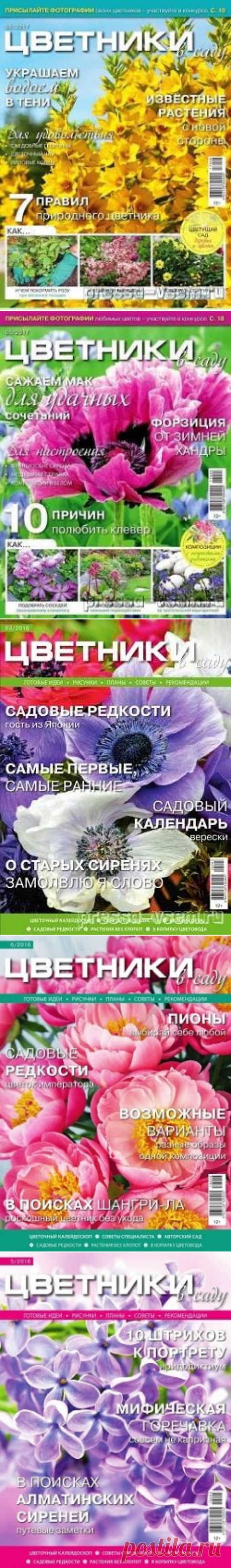 Цветники в саду №6, июнь 2017 &amp;raquo; Пресса всем - Читать журналы онлайн.