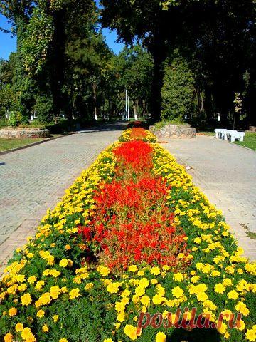 Сергей Кожевников
60 лет, Россия, г.Ликино-Дулево