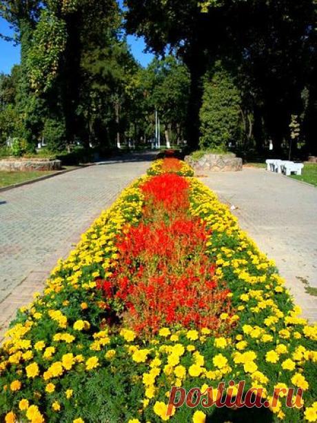 Сергей Кожевников
60 лет, Россия, г.Ликино-Дулево