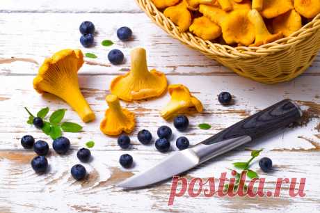 Грибной сезон: 5 блюд с лисичками
