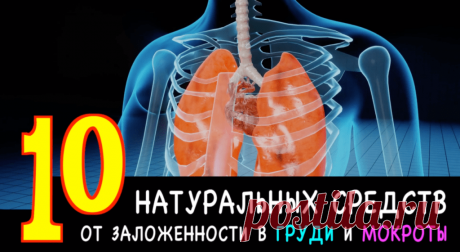 10 доступных натуральных средств от заложенности в груди и мокроты