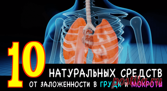 10 доступных натуральных средств от заложенности в груди и мокроты