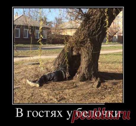 Отличные Демотиваторы. Кайфуем вместе! / Писец - приколы интернета