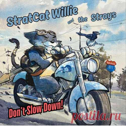 Stratcat Willie & the Strays - 2025 - Don't Slow Down! (FLAC free download mp3 music 320kbps