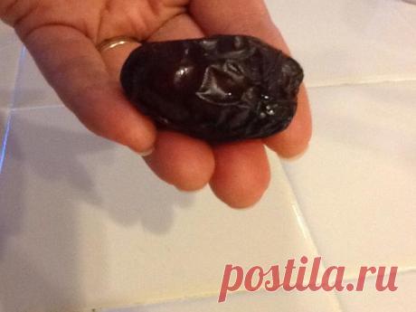 How to Grow a Medjool Date Palm From Seed - Snapguide