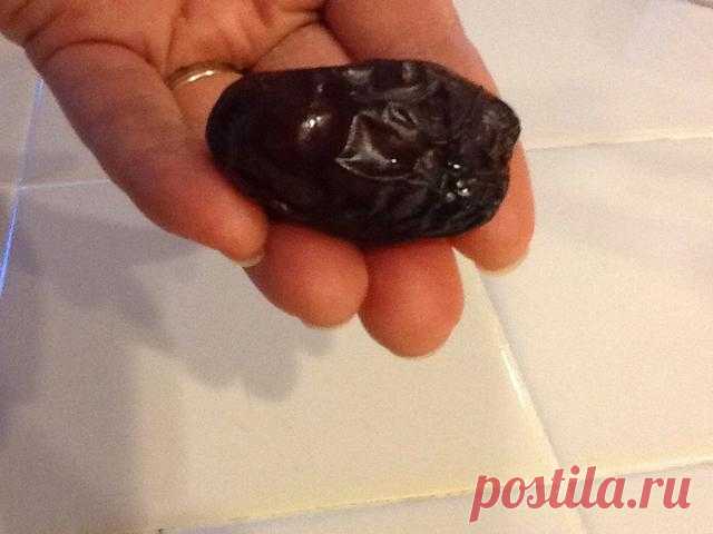 How to Grow a Medjool Date Palm From Seed - Snapguide