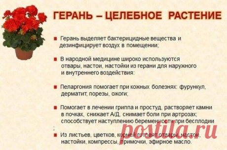 (1) Мой Мир@Mail.Ru