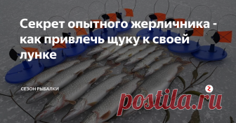 Секрет опытного жерличника - как привлечь щуку к своей лунке Оживить мертвую жерлицу можно просто...