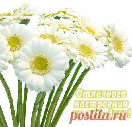 ОТЛИЧНОГО НАСТРОЕНИЯ!