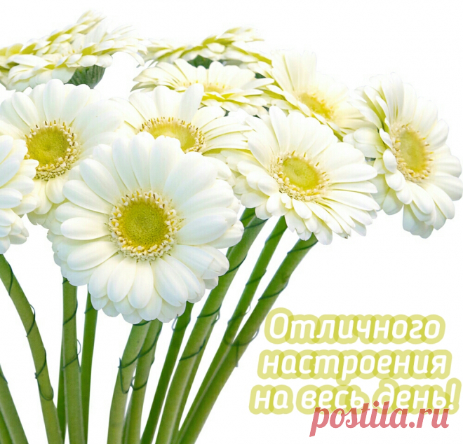ОТЛИЧНОГО НАСТРОЕНИЯ!