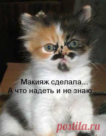 Natali: Лимит "доверия и терпения" исчерпаны. Режим "пофиг" удачно активирован!