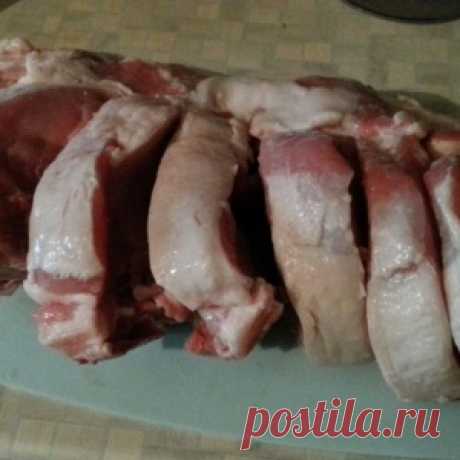 Кошачьи истории в фотографиях