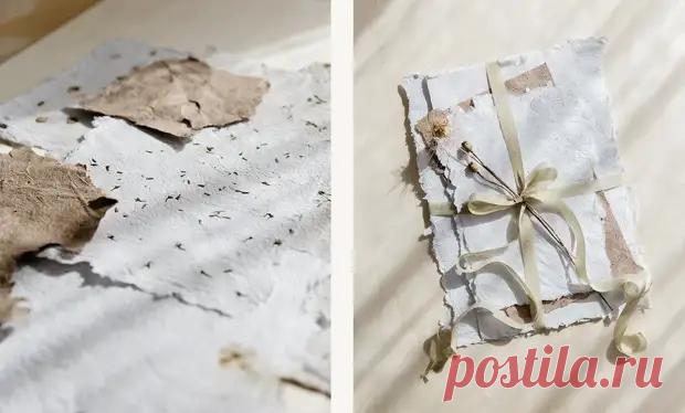 Как сделать бумагу в домашних условиях: пошаговый мастер-класс - Сам себе мастер - 18 августа - 43958938174 - Медиаплатформа МирТесен