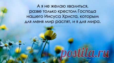 Неужели вам нет разницы куда идти? Или вы думаете ,что идя самовольно без Моего помазания без Духа Святого вы сумеете пройти путь Иисуса Христа? Я оставил вам дары духовные чтобы вы пользовались ими и могли различать добро и зло. Но и тут вы не захотели воспользоватся Моими дарами стали отвергать Мои дары, изгоняя Моих помазанных Мною пророков.