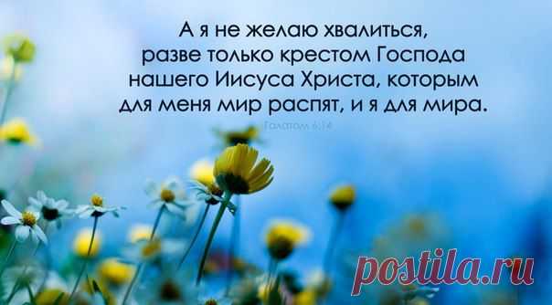 Неужели вам нет разницы куда идти? Или вы думаете ,что идя самовольно без Моего помазания без Духа Святого вы сумеете пройти путь Иисуса Христа? Я оставил вам дары духовные чтобы вы пользовались ими и могли различать добро и зло. Но и тут вы не захотели воспользоватся Моими дарами стали отвергать Мои дары, изгоняя Моих помазанных Мною пророков.