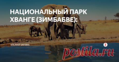 НАЦИОНАЛЬНЫЙ ПАРК ХВАНГЕ (ЗИМБАБВЕ): Это самый большой Национальный парк в Зимбабве, он занимает территорию южнее водопада Виктория площадью 14651 кв.км, на которой проживает более 100 видов животных и 400 разновидностей птиц! Парк отлично приспособлен для наблюдения за его обитателями, имеются оборудованные смотровые площадки, а 500 километровая система дорог позволяет увидеть, не выходя из машины, основных представителей фауны этог