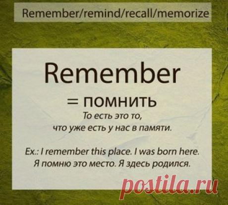 Новости