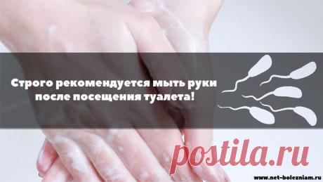 Что такое холера: Причины, симптомы, профилактика и лечение инфекции 

Холера является последствием плохих санитарно-гигиенических условий. Улучшение этих условий может снизить вероятность этого заболевания.

Как правило, заражение населения происходит за счёт попадания вибриона в питьевую воду (из-за сточных вод).