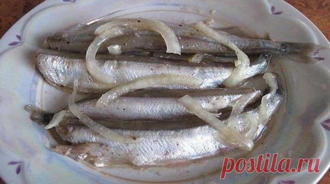 А вы знали, как приготовить мойву, чтобы по вкусу была как дорогостоящие анчоусы? Если нет, тогда ловите минутный рецепт. От запаха мойвы и следа не останется, а вкусно как получается. Ммм. Нет слов просто. Аппетитная рыбка с черным хлебушком и маслом — предел совершенства!